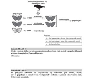 Matura 2018 z biologii [ARKUSZE CKE, ODPOWIEDZI]
