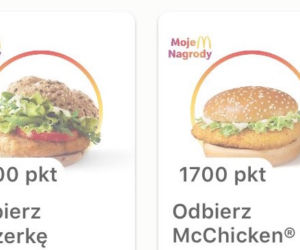 Darmowe jedzenie w McDonald's! Ile trzeba uzbierać punktów?