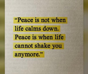 Środek nocy i nagranie, które mówi wszystko. Baron nie wytrzymał!