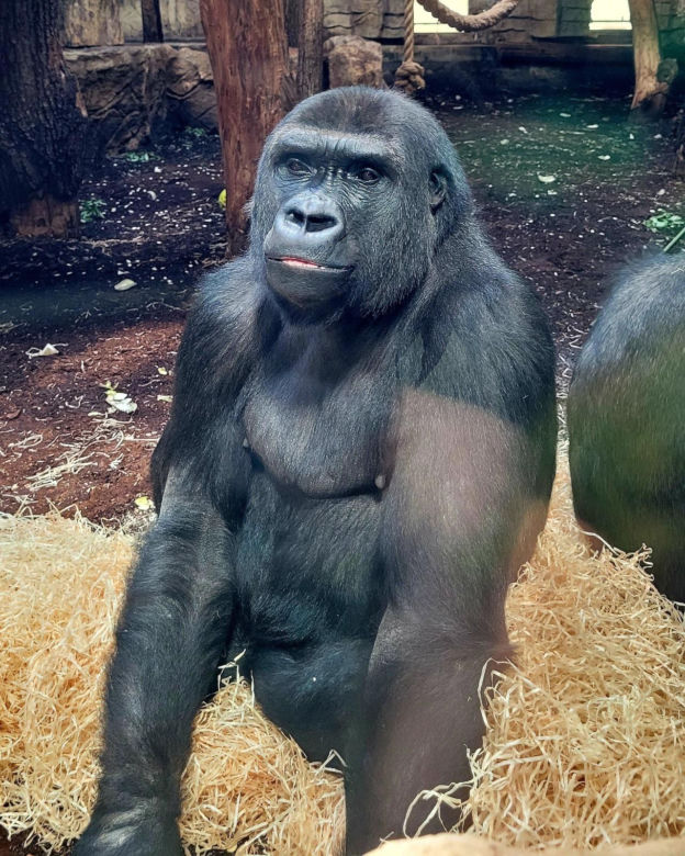 Nowe mieszkanki w ZOO Warszawa