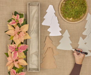 Kalendarz adwentowy z choinkami z papieru i mini poinsecjami