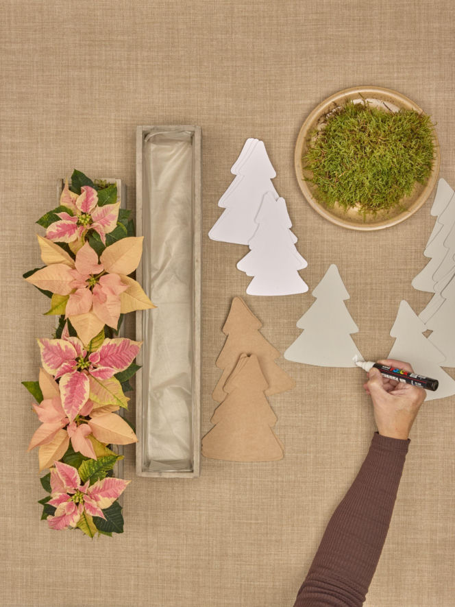 Kalendarz adwentowy z choinkami z papieru i mini poinsecjami