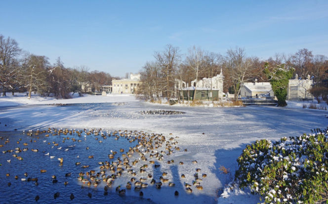 Idealne miejsca na zimowy spacer w Warszawie