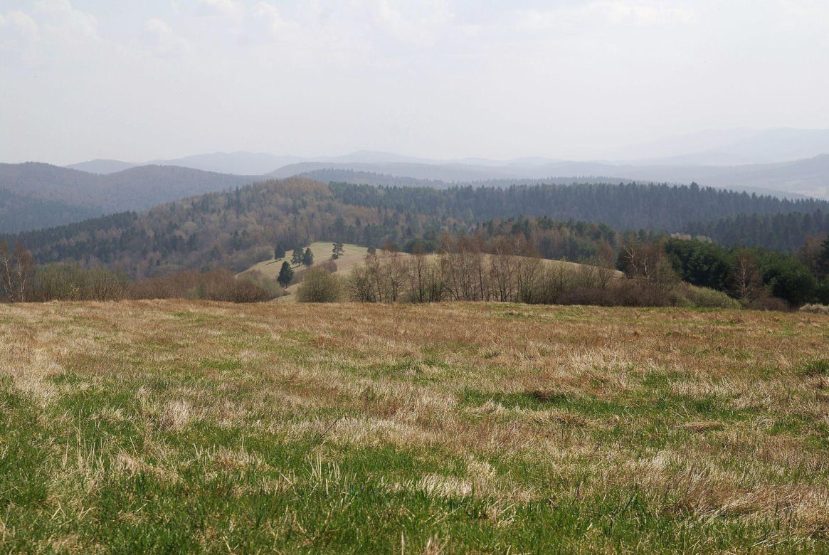 Wola Maćkowa