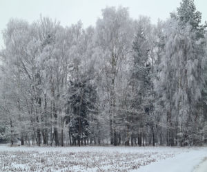 Zima na Podkarpaciu. Niezwykłe krajobrazy [ZDJĘCIA]