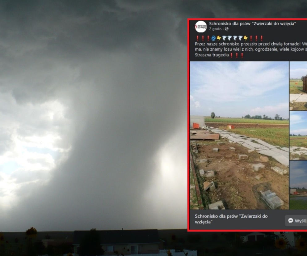 Tornado w gminie Gózd. Szok! Potworna siła uderzyła w schronisko. Co z psami?