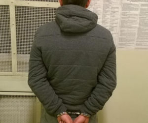 33-latek hodował w szafie 27 krzewów konopi. Na policję zadzwoniła jego matka [ZDJĘCIA]