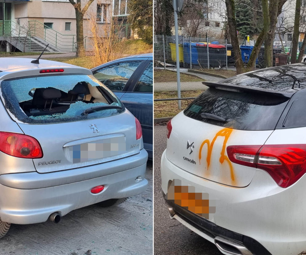 „Kule świszczą nam nad głowami”. Wariat strzela do samochodów