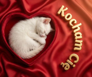 Romantyczne życzenia walentynkowe 2026 dla niej, czyli słowa, które trafiają prosto w serce