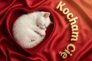 Romantyczne życzenia walentynkowe 2026 dla niej, czyli słowa, które trafiają prosto w serce