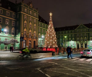 Choinka przed urzędem miasta w Szczecinie