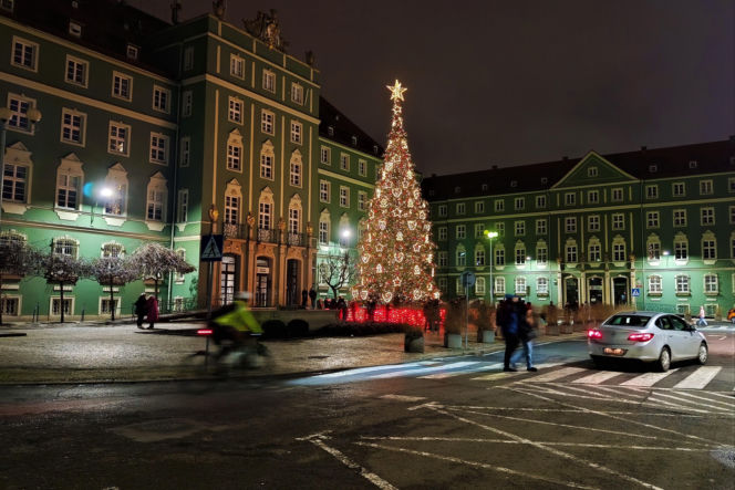 Choinka przed urzędem miasta w Szczecinie