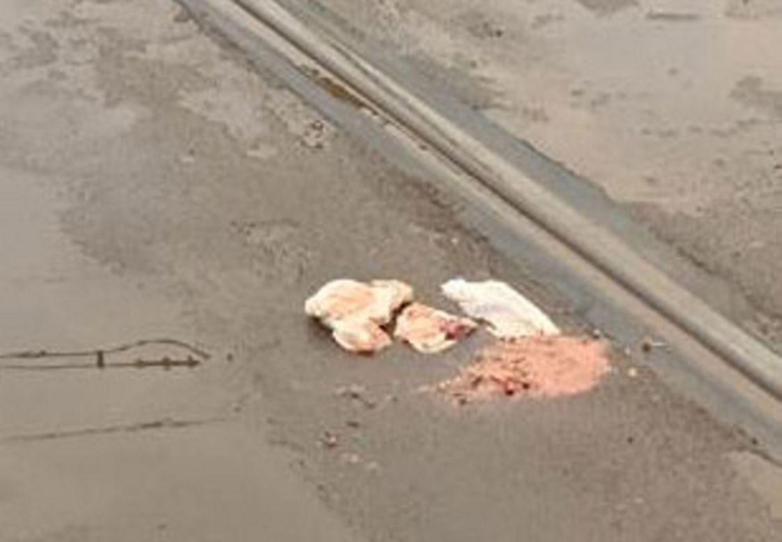 Tragedia na moście Poniatowskiego. Kobieta wbiegła pod pędzący tramwaj