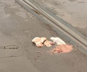 Tragedia na moście Poniatowskiego. Kobieta wbiegła pod pędzący tramwaj