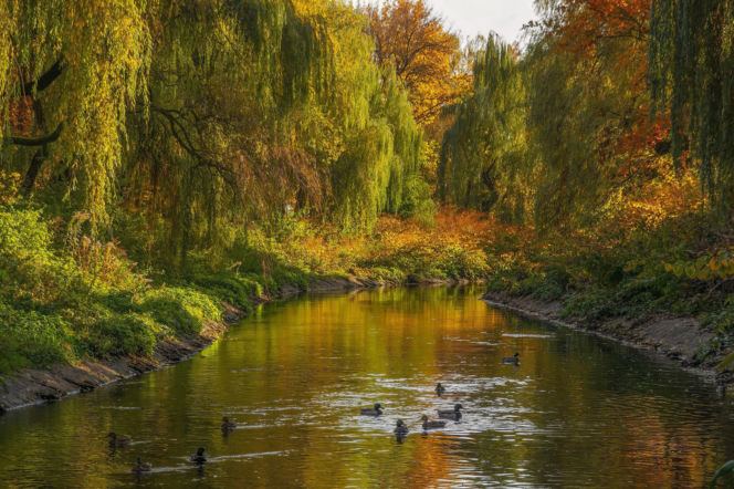 Rzeka w Śląskiem z najdłuższą nazwą