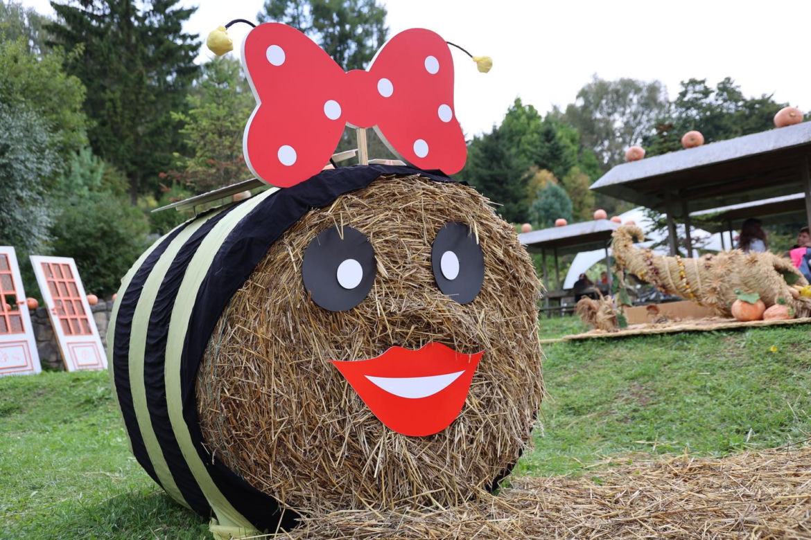 Farma dyń 2023 w Lublinie. Tak było w weekend otwarcia!