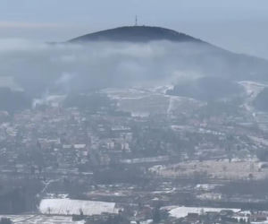 Najwyższa darmowa wieża widokowa w Polsce. Ma 38 metrów i widoki jak z bajki
