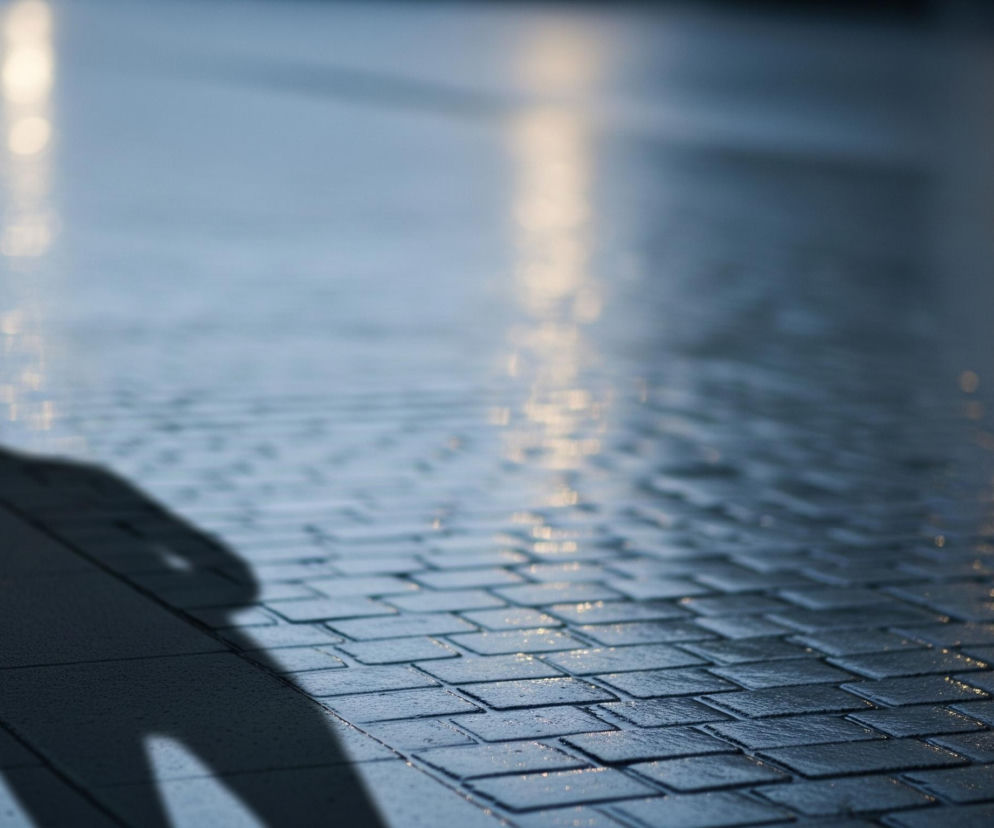 Ciemny cień postaci ludzkiej widać na mokrej nawierzchni z kostki brukowej w lewym dolnym rogu obrazu, rozciągając się w kierunku centrum. Powierzchnia kostki, pokryta drobnymi kroplami wody, odbija rozmyte, pionowe smugi światła w kolorze żółto-białym, które pochodzą z oddalonych źródeł niewidocznych na zdjęciu. Cała scena utrzymana jest w chłodnych, ciemnych barwach niebieskiego i szarego, z jasnymi, ciepłymi akcentami odbitego światła.