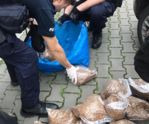 Toruń: Akcja policjantów z Bydgoszczy w naszym mieście. Zatrzymali dwóch mieszkańców Malborka