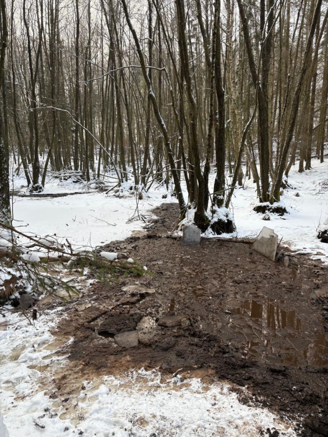 Krowa omal nie utonęła w bagnie. Z pomocą ruszyli strażacy