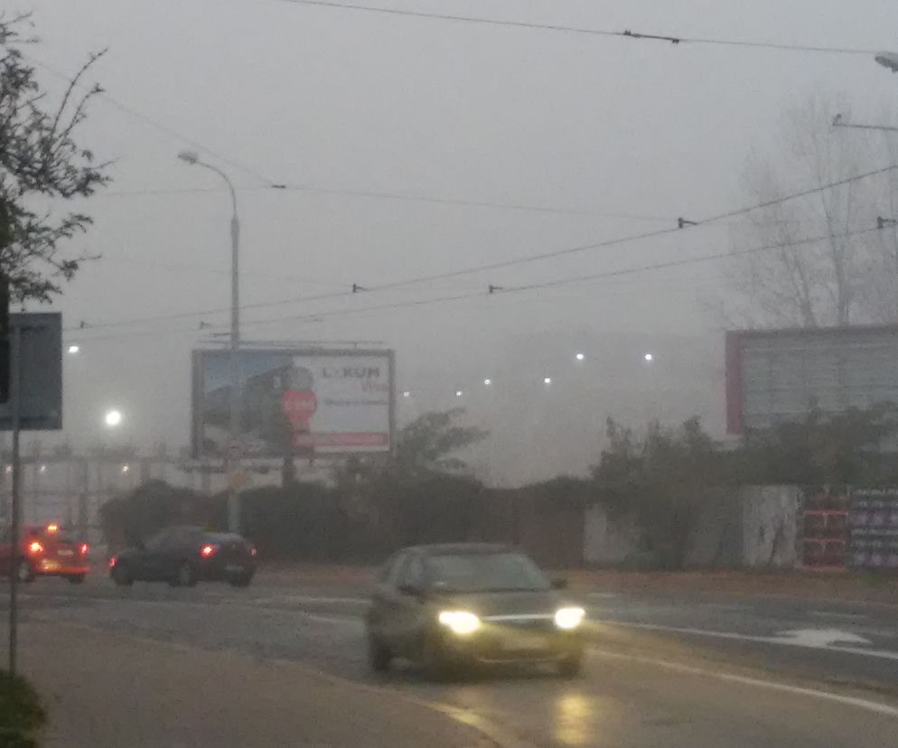 Strażnicy wystawili już mandaty na trzy tysiące złotych