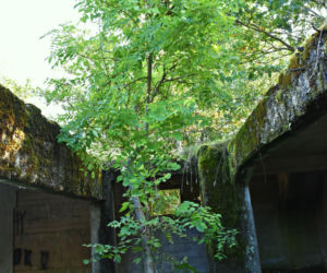Tajemnicza podziemna hala w woj. warmińsko-mazurskim. Nikt nie wie, co tam się znajdowało