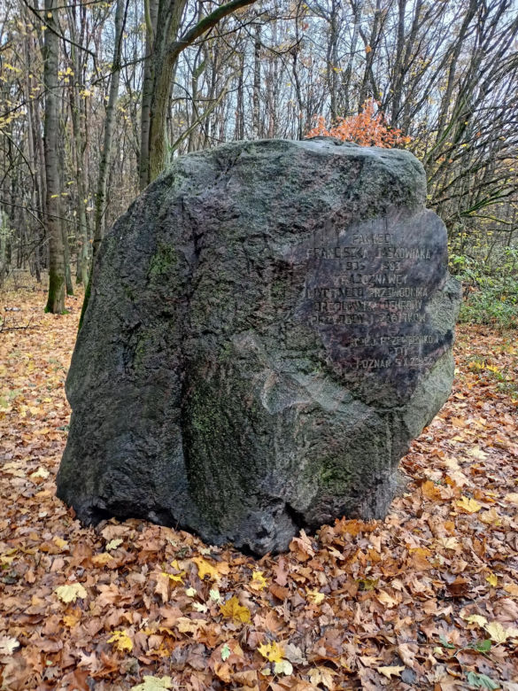 Rezerwat przyrody Meteoryt Morasko