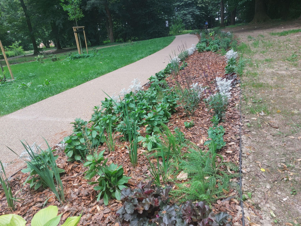 Park im. Szafera w Rzeszowie 