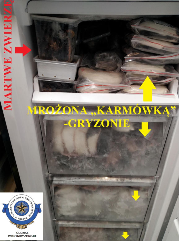 Dramatyczna interwencja w sklepie zoologicznym na Śląsku. Zwierzęta przetrzymywane w skandalicznych warunkach