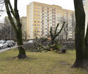 Wichury w Polsce