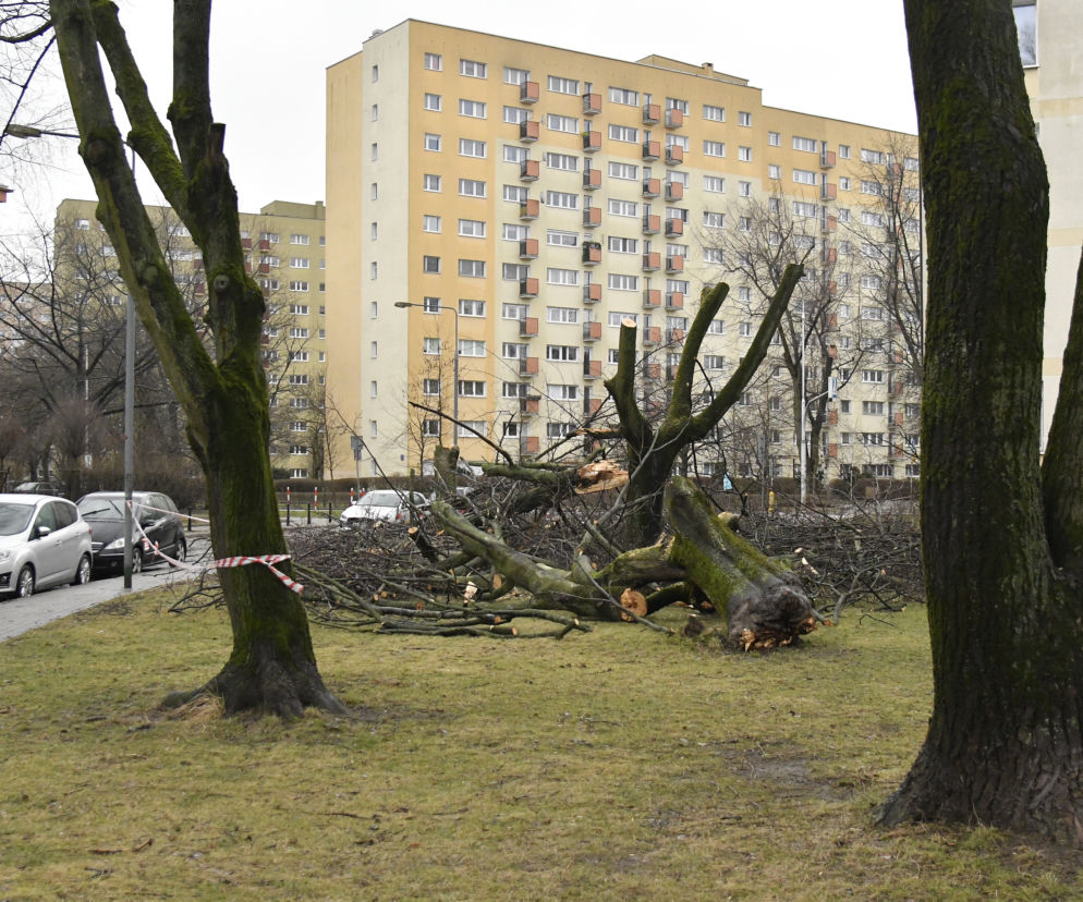Wichury w Polsce