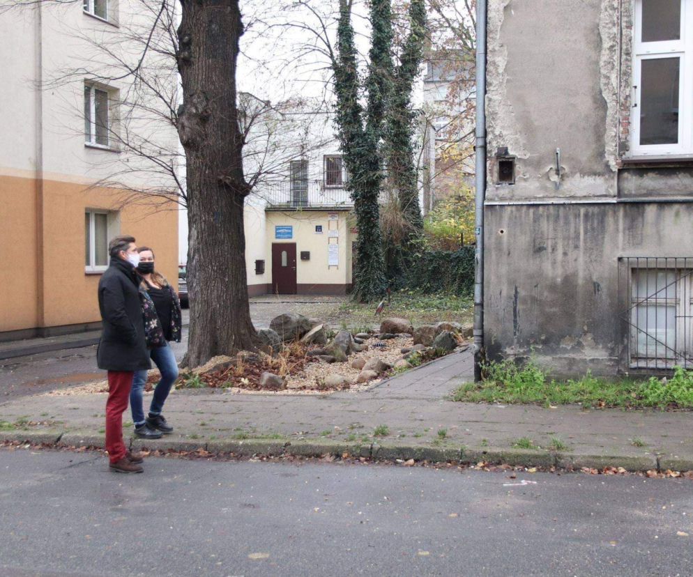 Ogród deszczowy w Kaliszu