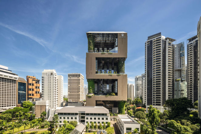 Zielone fasady odmieniają miasta