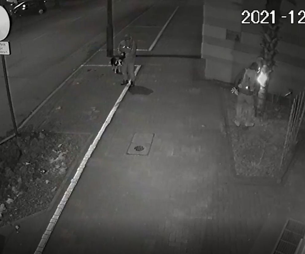 Palma przy siedzibie strostwa została zniszczona