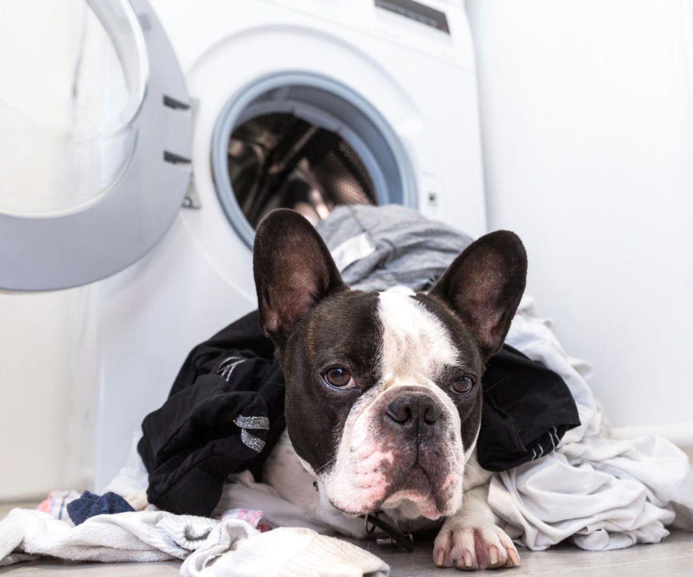 Usuwanie sierści podczas prania w pralce