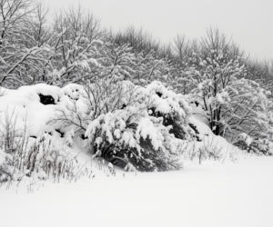 Zima stulecia w Polsce. Jakie niezwykłe wydarzenia zapisały się w historii?