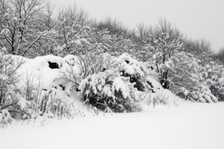 Zima stulecia w Polsce. Jakie niezwykłe wydarzenia zapisały się w historii?