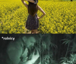 Rzepiara robi furorę w internecie [MEMY]