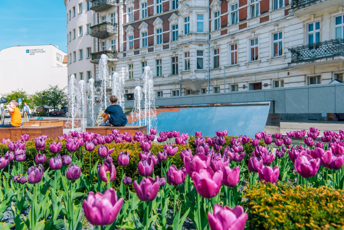 Plac Kolegiacki - nowa przestrzeń z wyjątkową historią