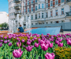 Plac Kolegiacki - nowa przestrzeń z wyjątkową historią