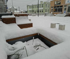 Atak zimy w Świętokrzyskiem. Śnieg i trudne warunki drogowe 23 Listopada 2025