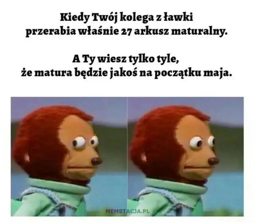Matura - memy