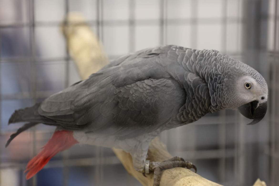 ZooPark 2023 w Lublinie przyciągnął tłumy!