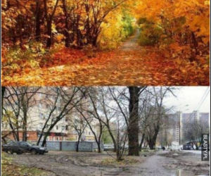 Równonoc jesienna 2020. Zobacz najlepsze memy na pierwszy dzień jesieni