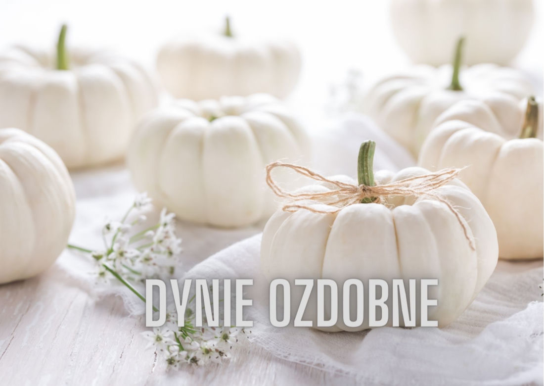 Dekoracje na jesień w niskiej cenie. Jak efektownie ozdobić dom? [GALERIA]