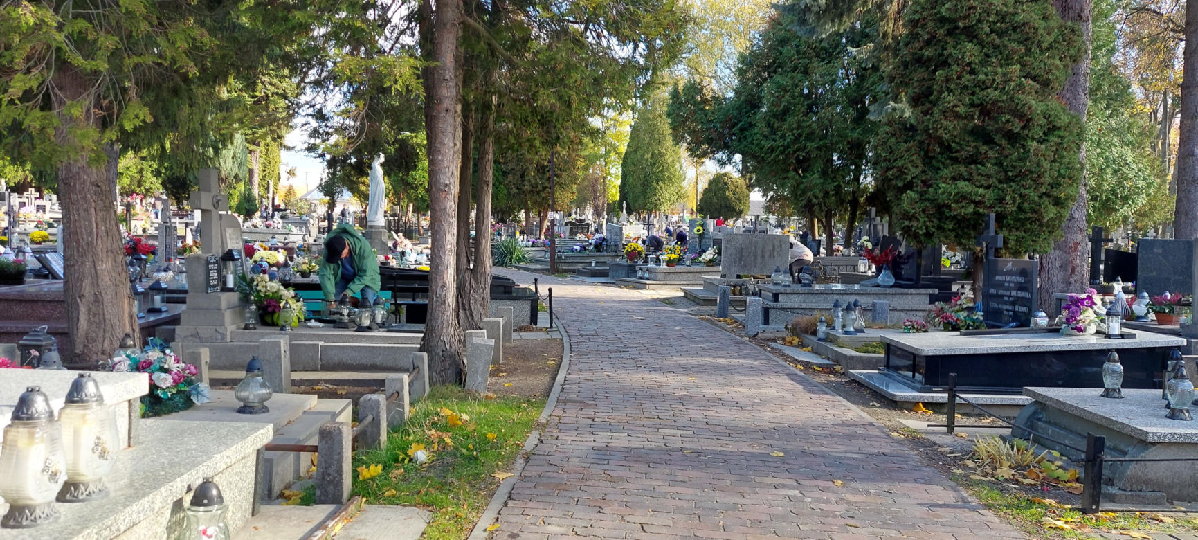 Przygotowania do Wszystkich Świętych Zamość