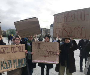 Manifestacja w obronie klimatu