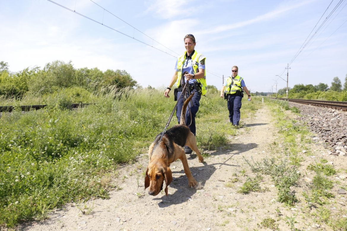 Zbrodnia w Trawnikach. Zamordował żonę i uciekł? Policjanci sprowadzili psy z Saksonii