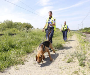Zbrodnia w Trawnikach. Zamordował żonę i uciekł? Policjanci sprowadzili psy z Saksonii
