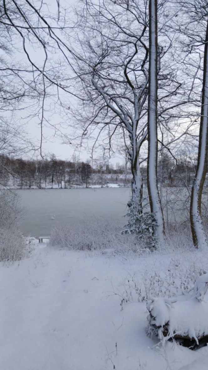 Atak zimy na wybrzeżu. Burze śnieżne, zasypane drogi i alerty IMGW